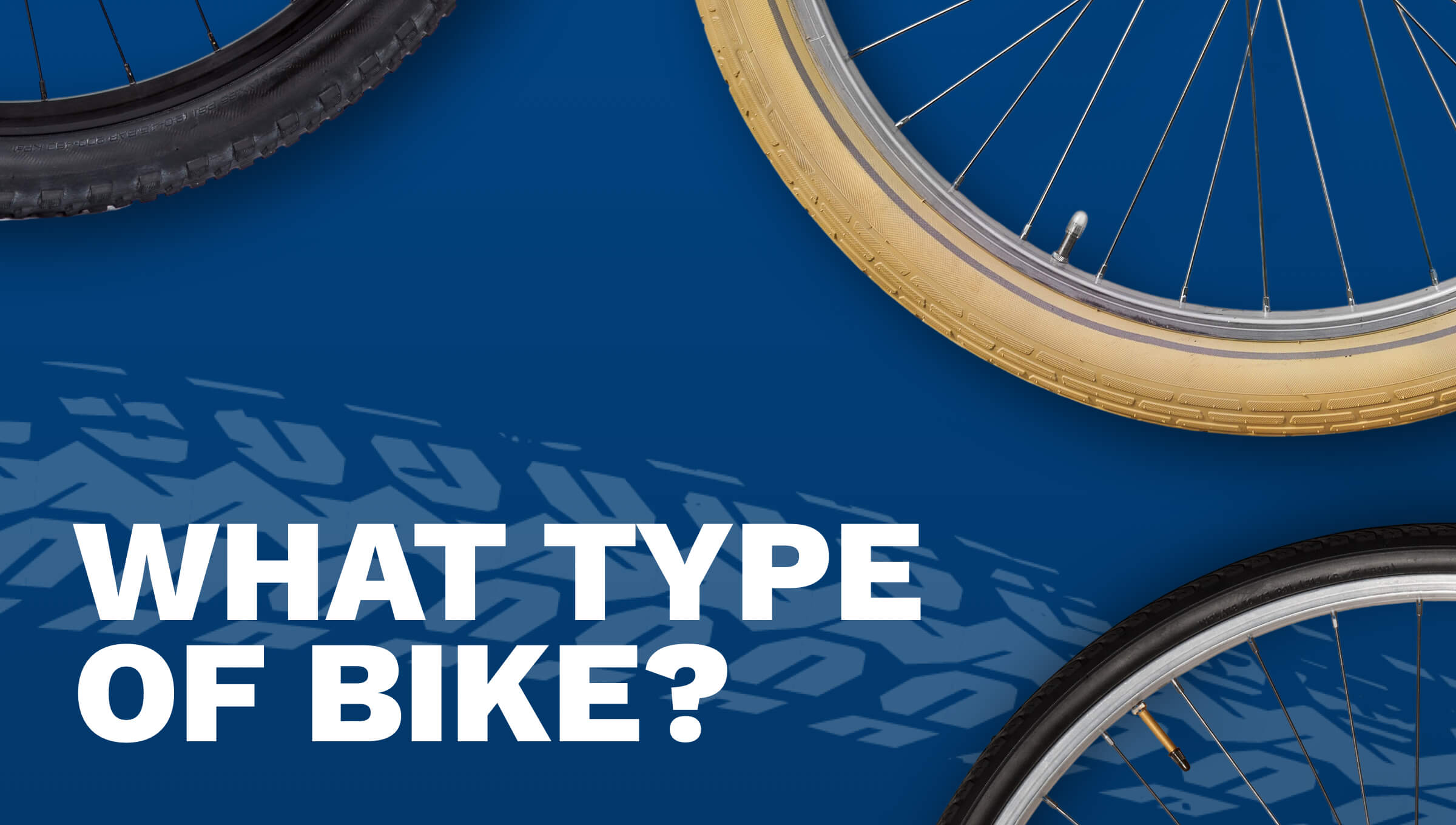 What Type of Bike Should I Get?